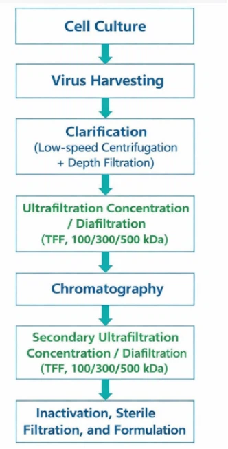 Processo de purificação downstream em escala-industrial para vacina contra ri...